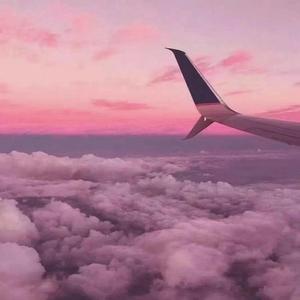 91丨豆花丨学生❤
